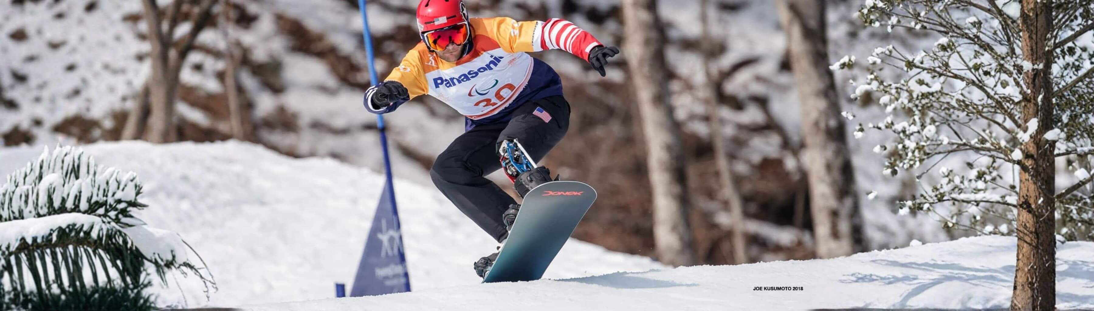 Prostheses for winter sports